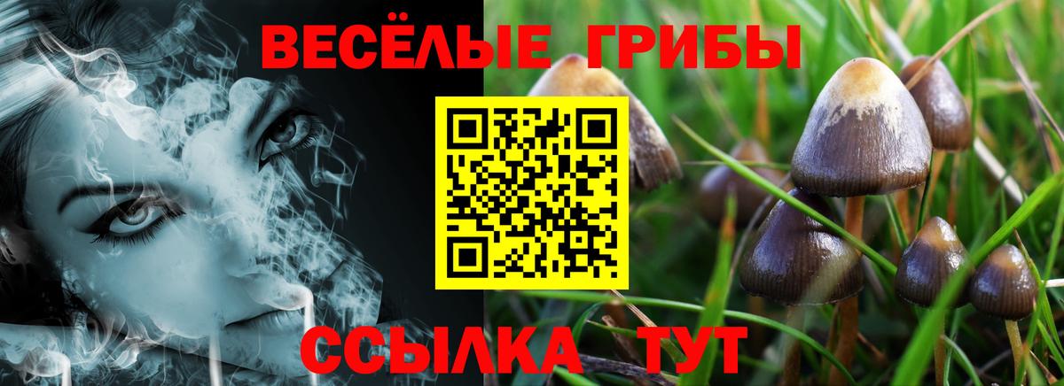 Нягань  Псилоцибиновые грибы ЛСД  Вход с VPN 